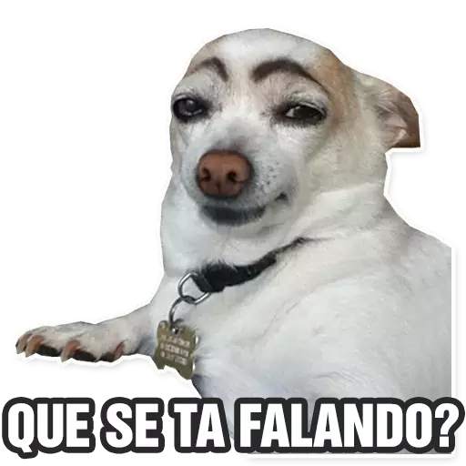 Figurinhas engraçadas para WhatsApp com frases 🤣 10