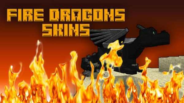 Skins Ender Dragon for Minecraft PE screenshot 1