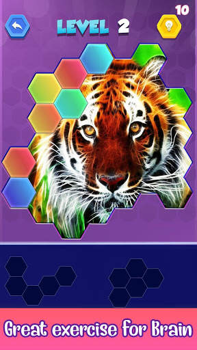 Jigsaw Hexa Puzzle - Block Hexa Puzzle Game screenshot 8