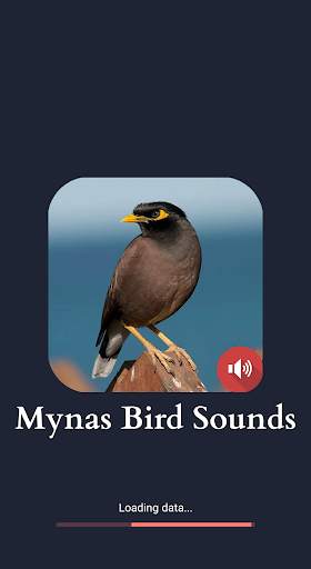Mynas Bird Sounds screenshot 1