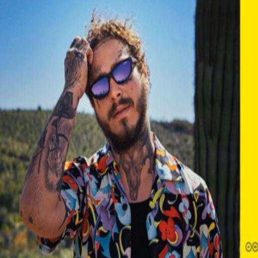 Post Malone Songs 1.0