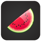 VPN icon