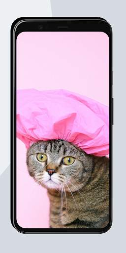 Funny Wallpapers screenshot 8