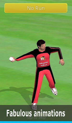 Smashing Cricket: cricket game screenshot 12