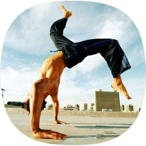 Capoeira Guide 1.0.0
