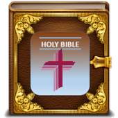 The Amplified Bible 17