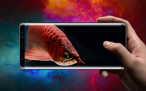 Lovely Arowana LiveWallpaper 4 تصوير الشاشة