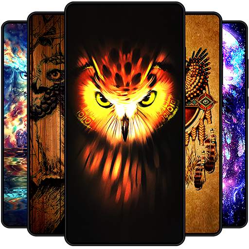 Owl Wallpaper 1.0