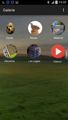Quail breeding (Guide) screenshot 4