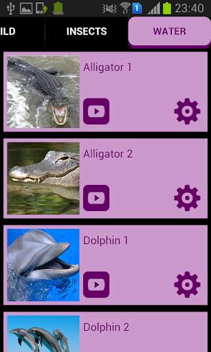 Animal Sounds & Ringtones screenshot 5