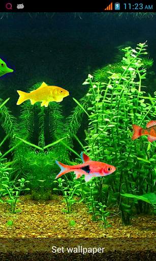 Aquarium Live Wallpaper! screenshot 2