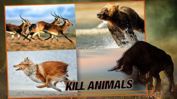 Wild Bull Simulator 3D - Angry Bull Attack Game screenshot 5