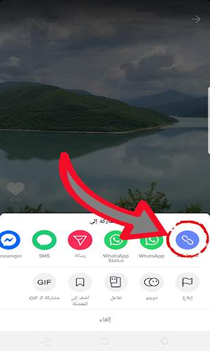 Download TikToK & LIKEE Videos Without Watermark screenshot 2
