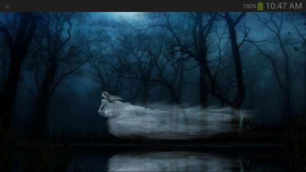 Ghost Wallpaper screenshot 4