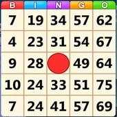 Absolute bingo 1.0