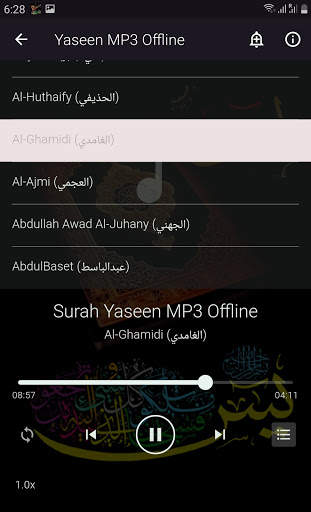 Yaseen MP3 Offline screenshot 4