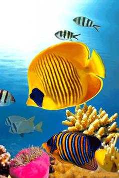 Fish Wallpaper screenshot 3