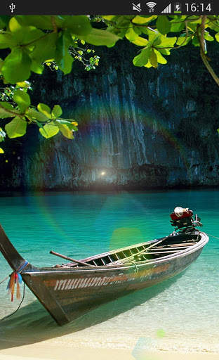 Sunshine Nature Leaf Wallpaper screenshot 1