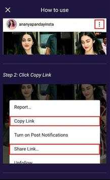 Ins Downloader screenshot 3