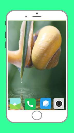 Snail Wallpaper Full HD screenshot 12