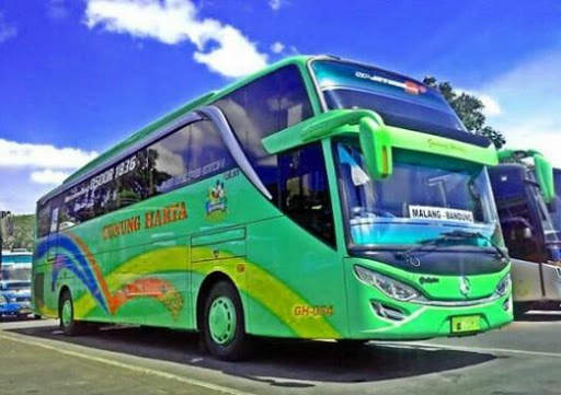 Bus Wallpaper screenshot 2
