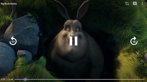 Amnis - Torrent Player screenshot 8
