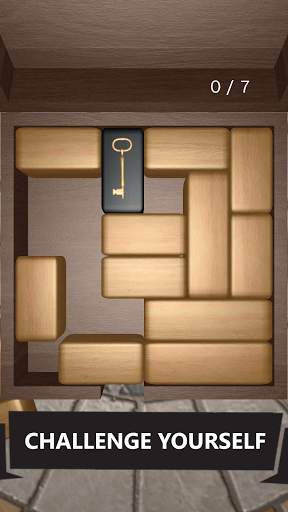 Unblock 3D Puzzle screenshot 2