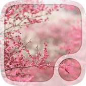 Spring Butterflies Wallpaper 1.0
