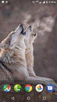 Wild Animal Wallpapers HD 2 تصوير الشاشة