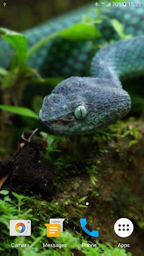 Snake Live Wallpaper screenshot 3