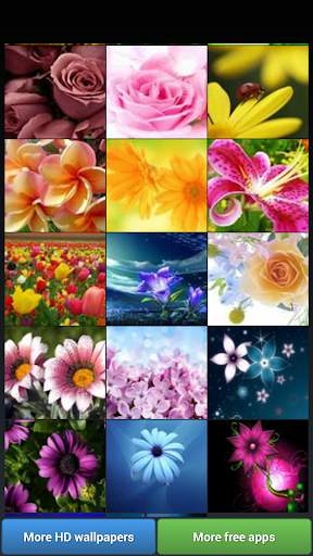 Flowers HD Wallpapers screenshot 3