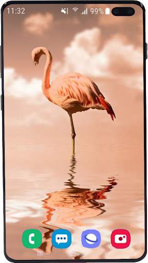 Flamingo Wallpaper HD screenshot 7