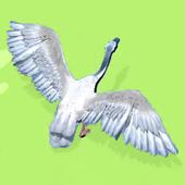 DuckDuckGo! icon