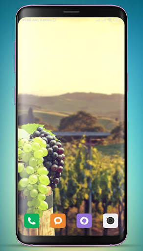 Grapes Wallpaper HD screenshot 8