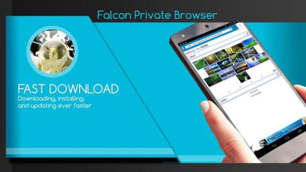Falcon Private Browser screenshot 4