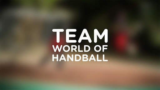 Team World of Handball screenshot 1