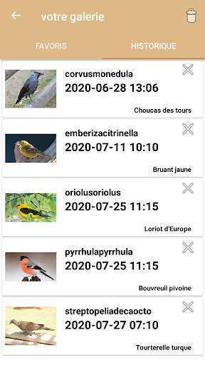 Identification des  oiseaux screenshot 6