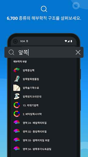 e-Anatomy screenshot 3