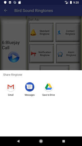 Bird Sound Ringtones: Bird call ringtones screenshot 7