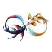 KOI Lucky Fish 3D Theme New Wallpapers 1.0