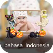 PIP camera, PIP Foto Effects 1.0