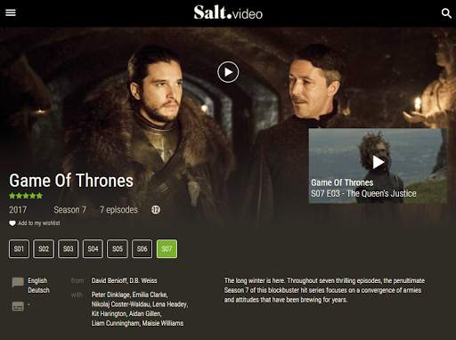 Salt Video screenshot 10