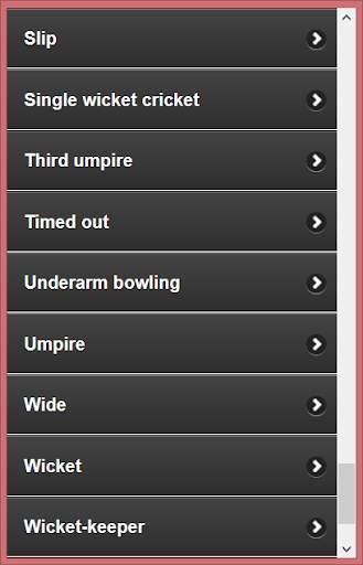 Cricket Language &Terminology screenshot 4