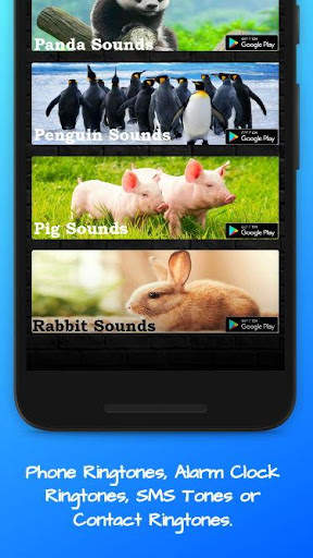 Hyena Sounds screenshot 4
