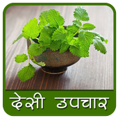 Desi Upchar icon