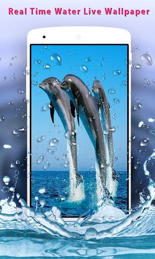 Dolphins Live Wallpaper screenshot 1