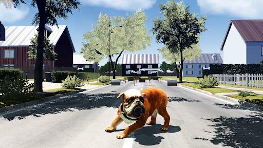 Bull Dog Simulator screenshot 3