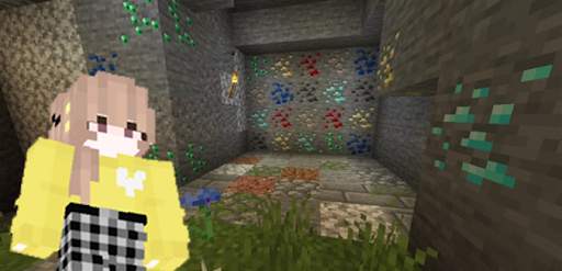 Biome Texture Maps for Minecraft screenshot 2