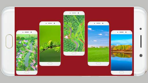 Green Nature Wallpaper screenshot 2