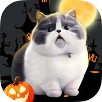 Cute Cat Pictures AI Generator